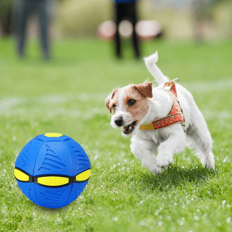 Pawtronic™ PopSphere - Transforming Saucer Ball Toy