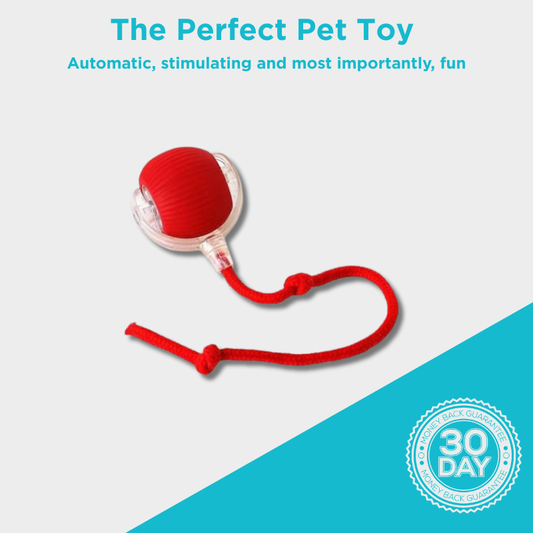Pawtronic™ ChaseSphere - Automatic Interactive Cat Ball