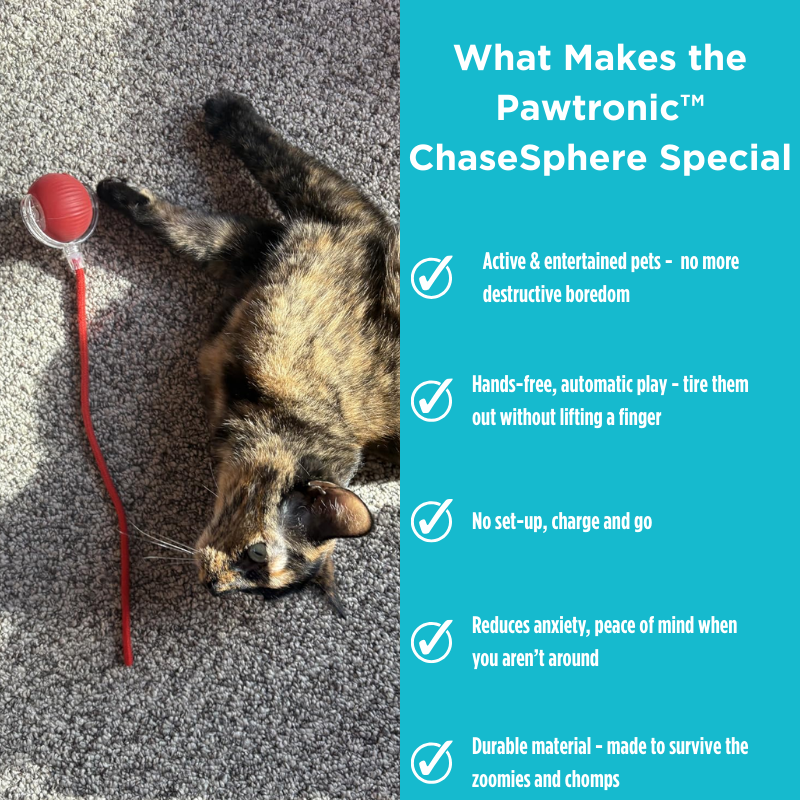 Pawtronic™ ChaseSphere - Automatic Interactive Cat Ball