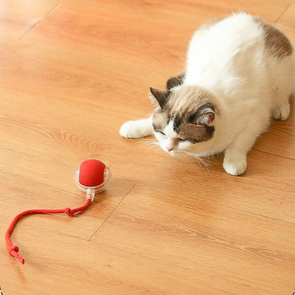 Pawtronic™ ChaseSphere - Automatic Interactive Cat Ball